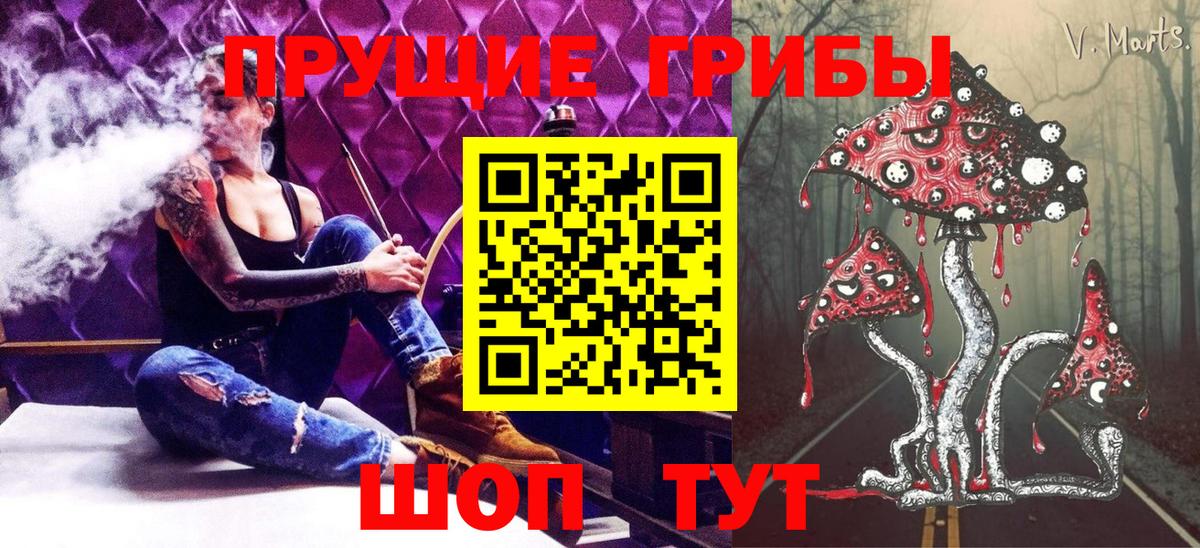 Псилоцибиновые грибы GOLDEN TEACHER  даркнет сайт  Хасавюрт  Вход с VPN 